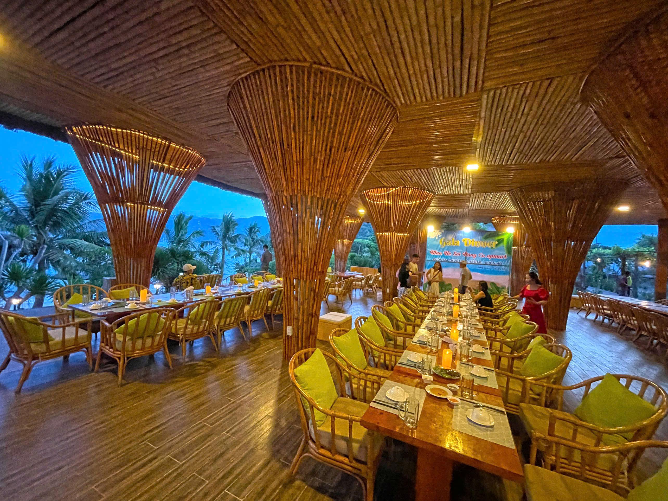 The Light Coral Island  (14)