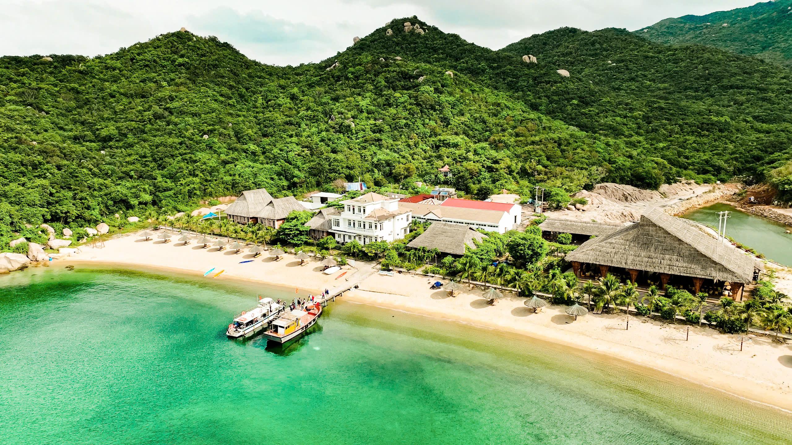 The Light Coral Island  (16)