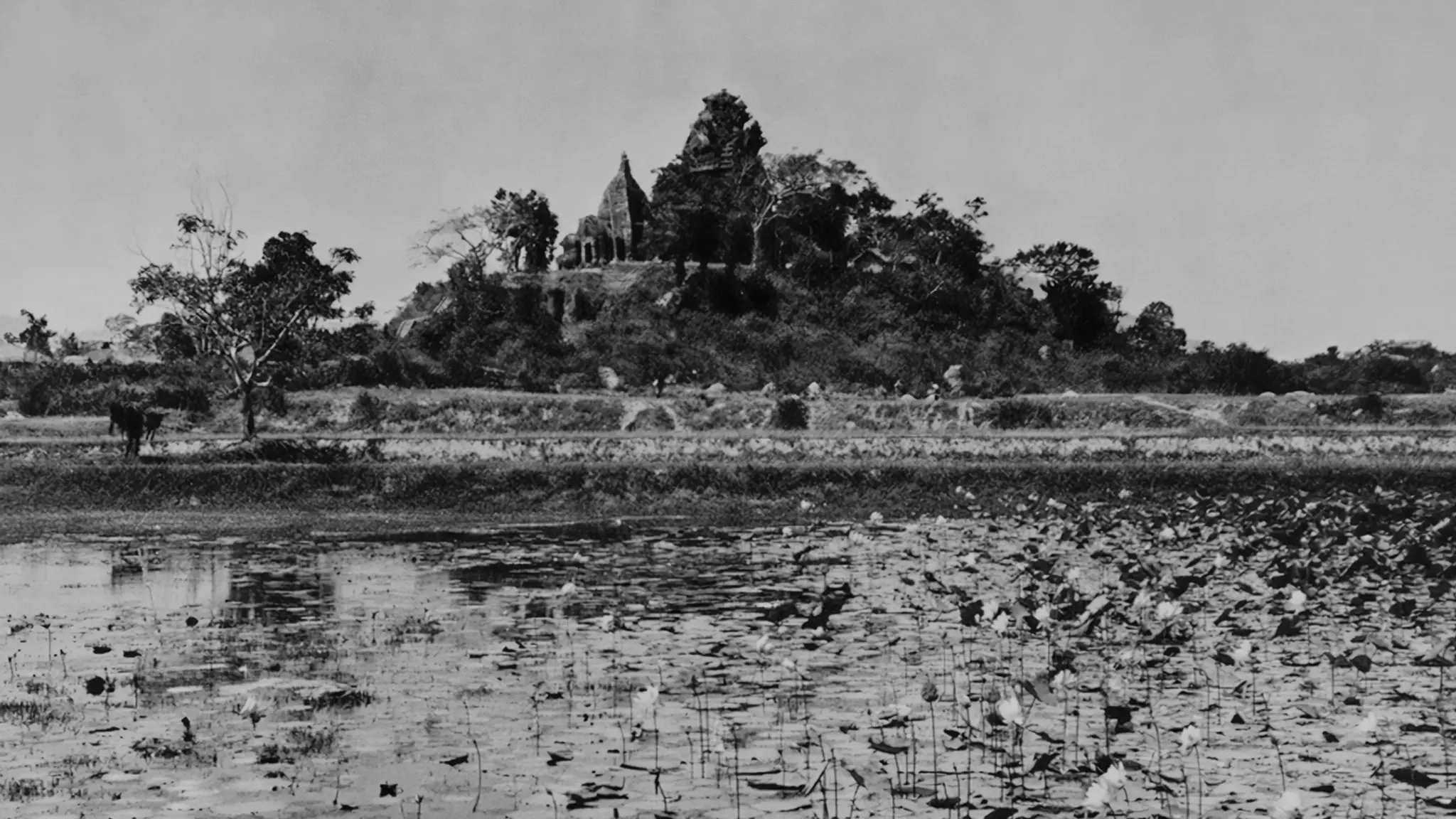 thap-ba-ponagar-nha-trang-xua-nay (2)