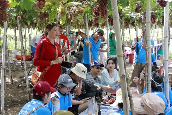 Eco-tourism & Relaxation in Khanh Hoa
